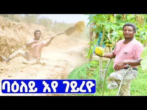 EMN - ተኣምራዊ ሓርበኛ ኣብርሃም ገ/እግዚኣብሄር - Eritrean Media Network