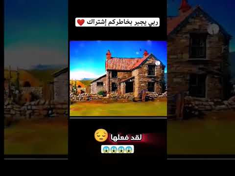 الحلقة الأخيرة من shaun the sheep