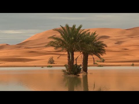 No Comment : les lacs de retour dans le désert marocain