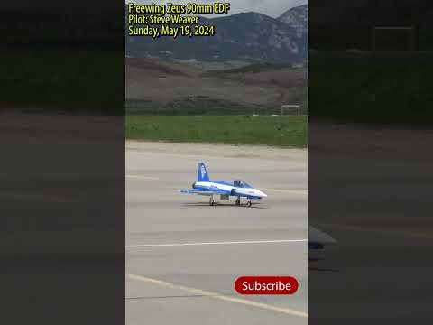 Freewing Zeus 90mm EDF