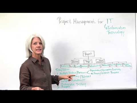 IT Project Management Overview