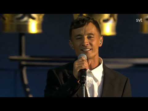 Daniel Adams Ray - Dum av dig - SVT2023