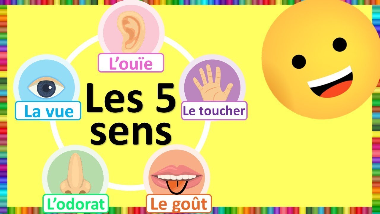 Les 5 Sens pour Enfants 🌟