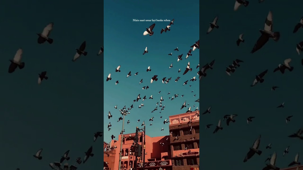 Nira Ishq || Guri || Latest Punjabi Songs #love #itsguriji #youtubeshorts #guri