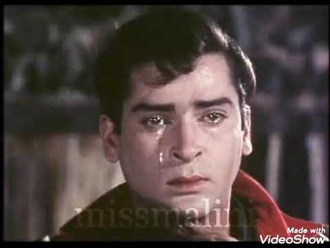 Rafi & Shammi Kapoor's Romantic Classics 🎶