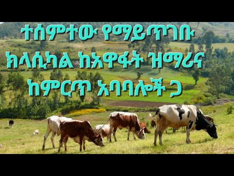 Best Ethiopia Classical Music ምርጥ ክላሲካል