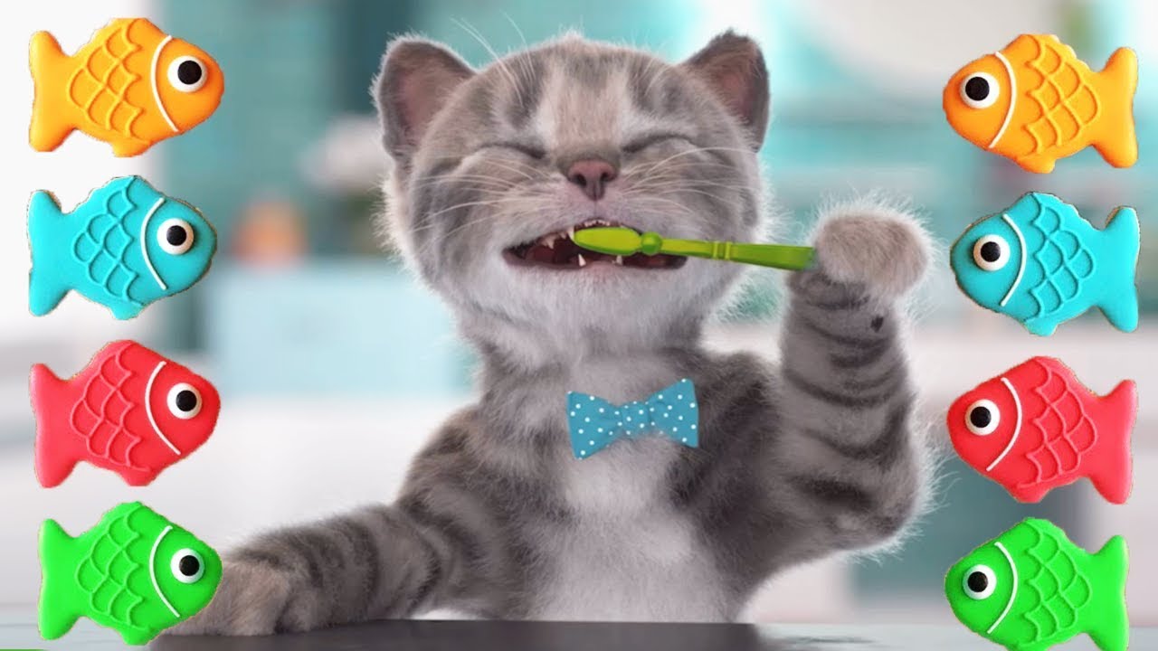 Fun Pet Kitten Care Game for Kids 🐱 | Preschool Learning & Play