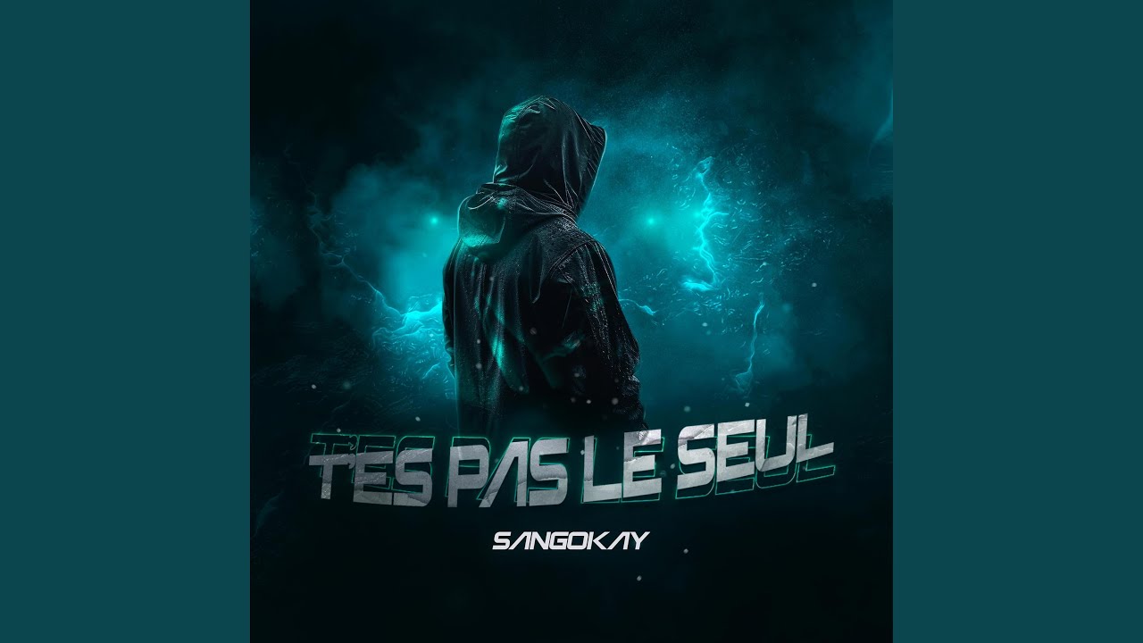 T'es pas le seul by Sangokay 🎶
