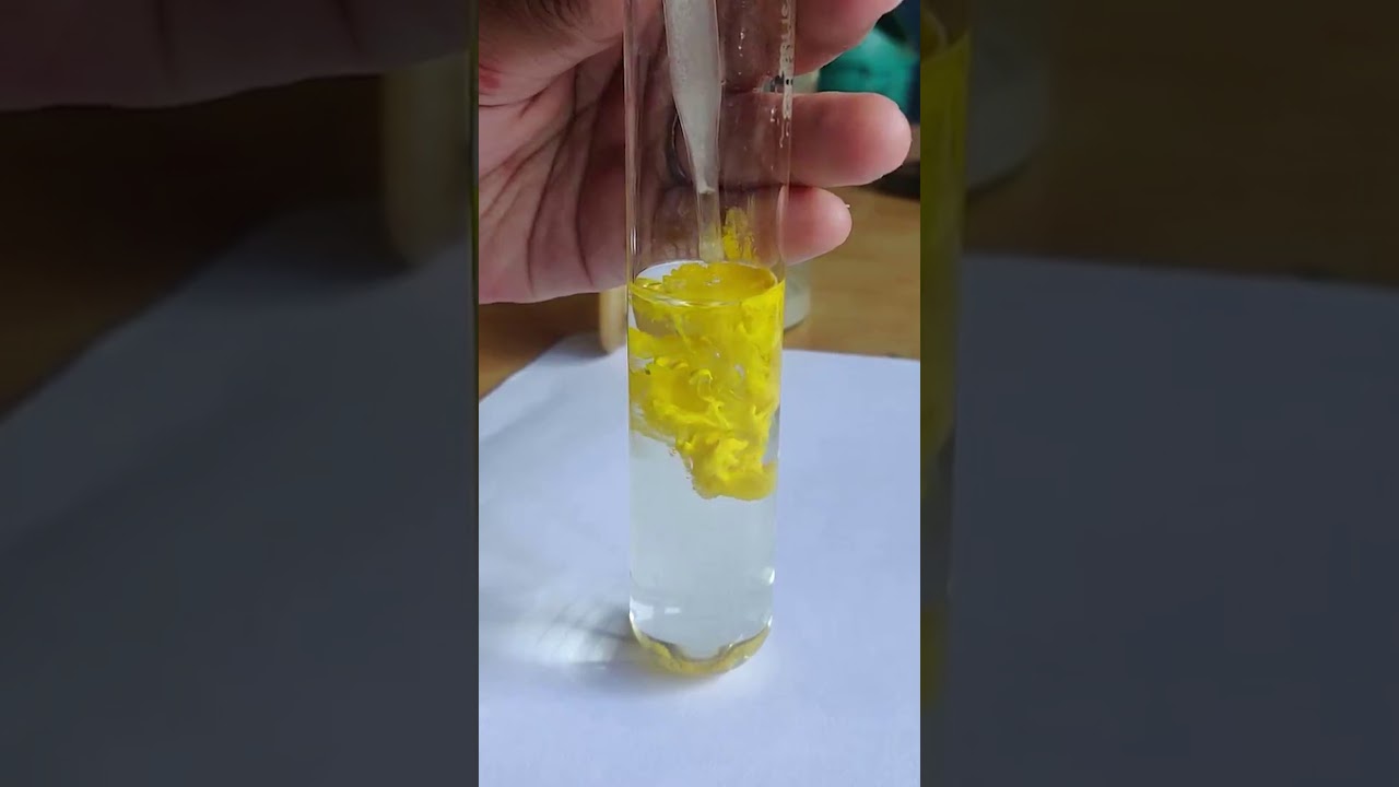 Lead Nitrate & Potassium Iodide Reaction | Chemistry Labs