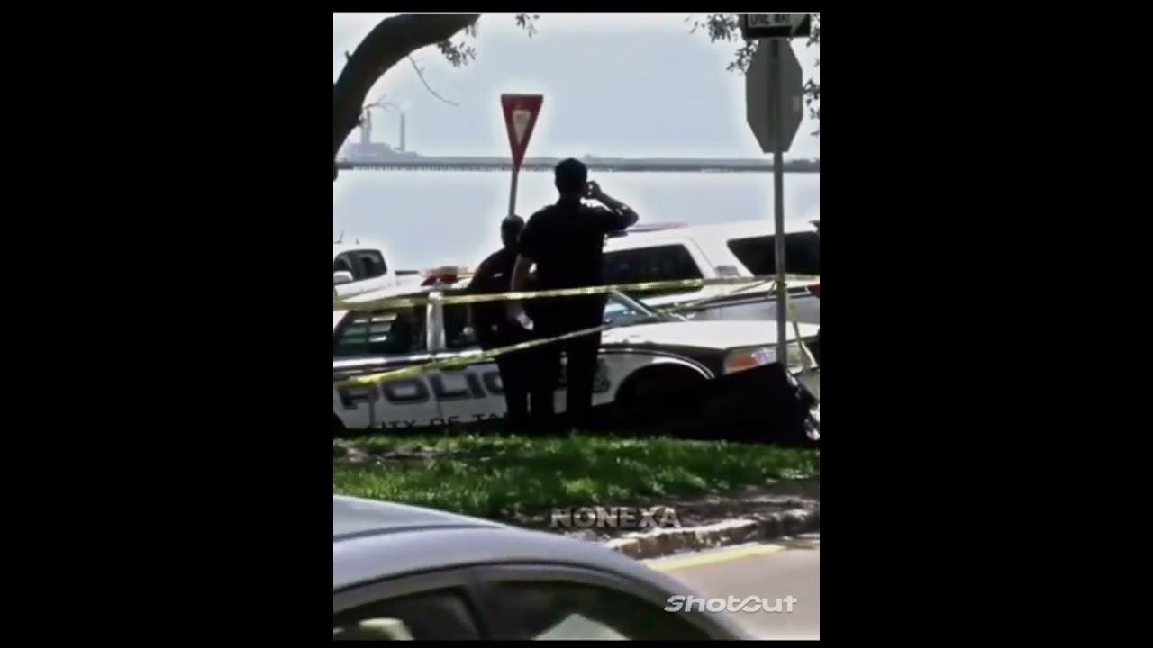 Cameron: The Full Story in Just 30 Seconds ⏱️