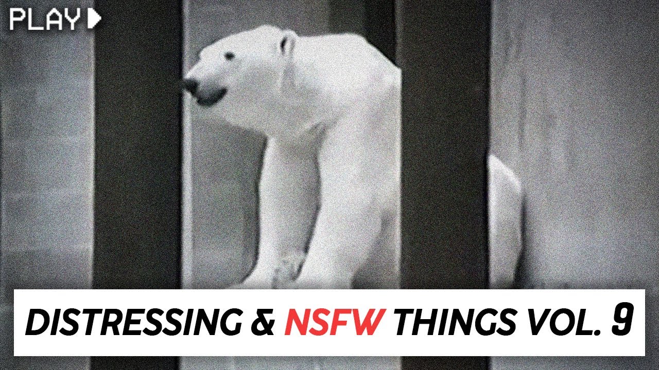 Distressing Internet Finds [Vol. 9] 😱