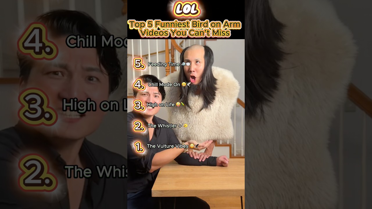 Top 5 Hilarious Bird on Arm Videos 🐦