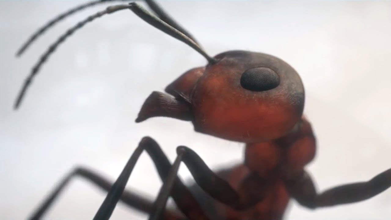 The Prodigy - Narayan & Animated Short 'Overrun' 🎶