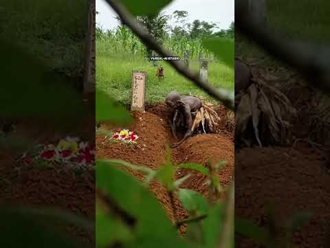 konten hiburan❗❗#viral#funny #fypシ#trending#trendingshorts #viralvideo#viralshorts#fypシ゚viral