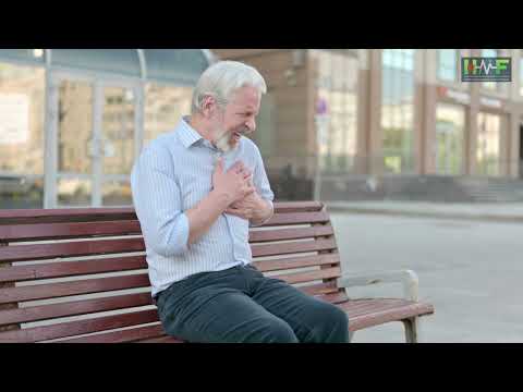 Utilize AI Algorithm to Analyze Your ECG Reports, Predict Risks Accurately | HAIF