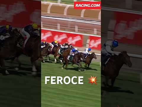 FEROCE SECURES THE AUSTRALIAN GUINEAS π₯ #ausguineas