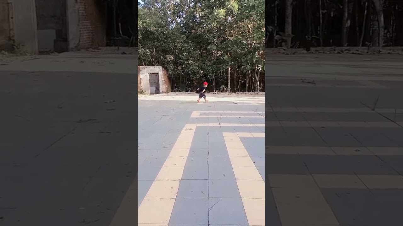 BOCIL in the Forest 👻