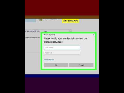 How to View Passwords in Credential Manager on Windows