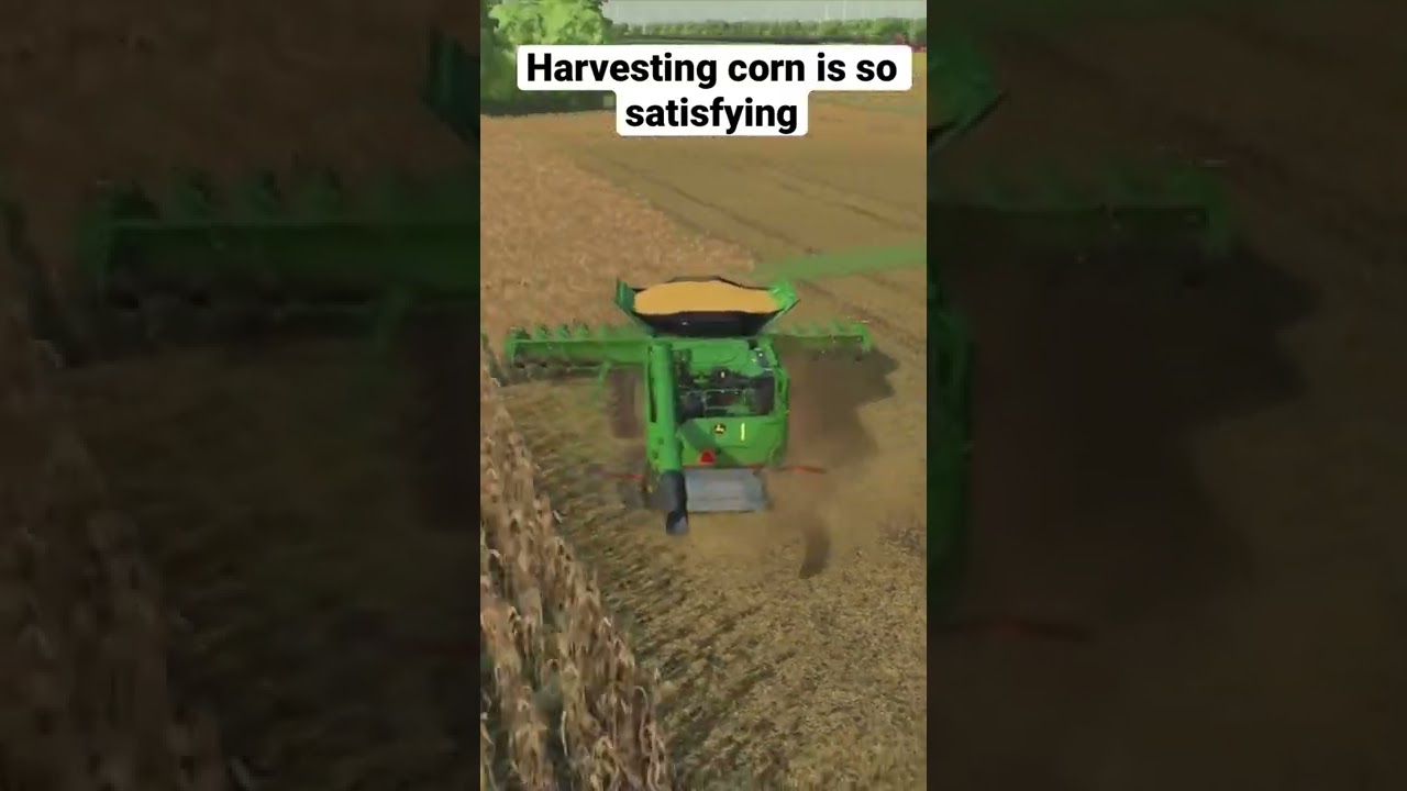 Corn Harvesting Tips π½
