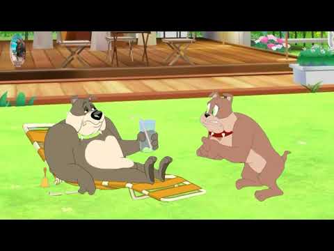 Spike ( Bulldog) Tom & Jerry