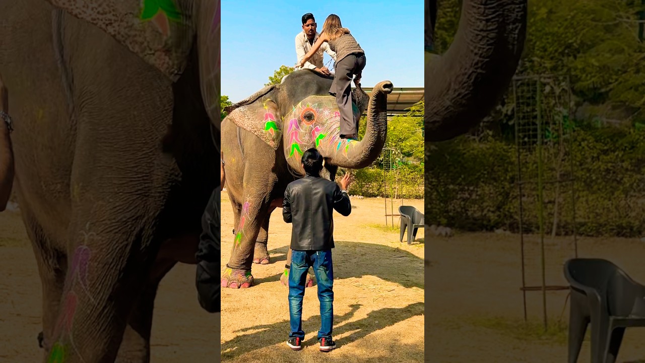 Epic Bahubali Stunt Scene 🎬