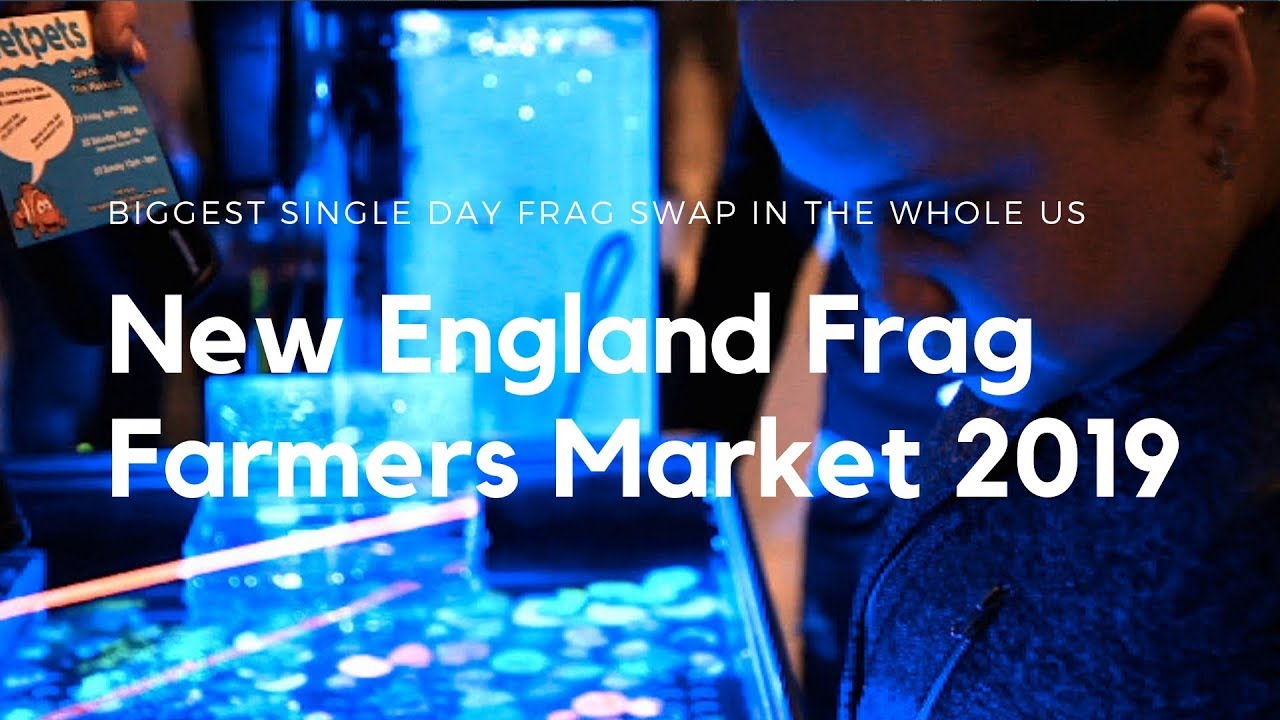 NEW ENGLAND FRAG FARMERS MARKET 2019 (Biggest Single Day Frag Swap In The US)