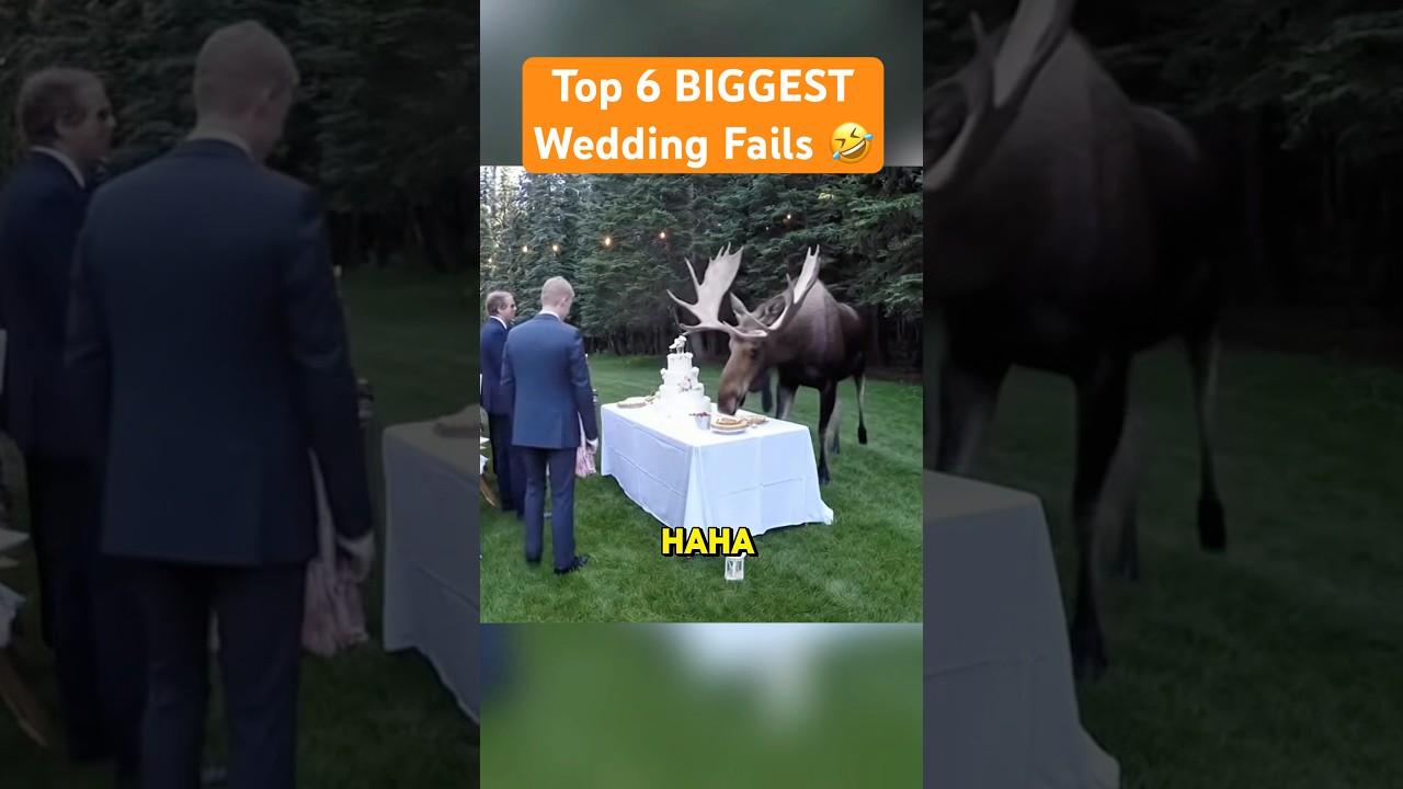 Unbelievable Wedding Fails π€―