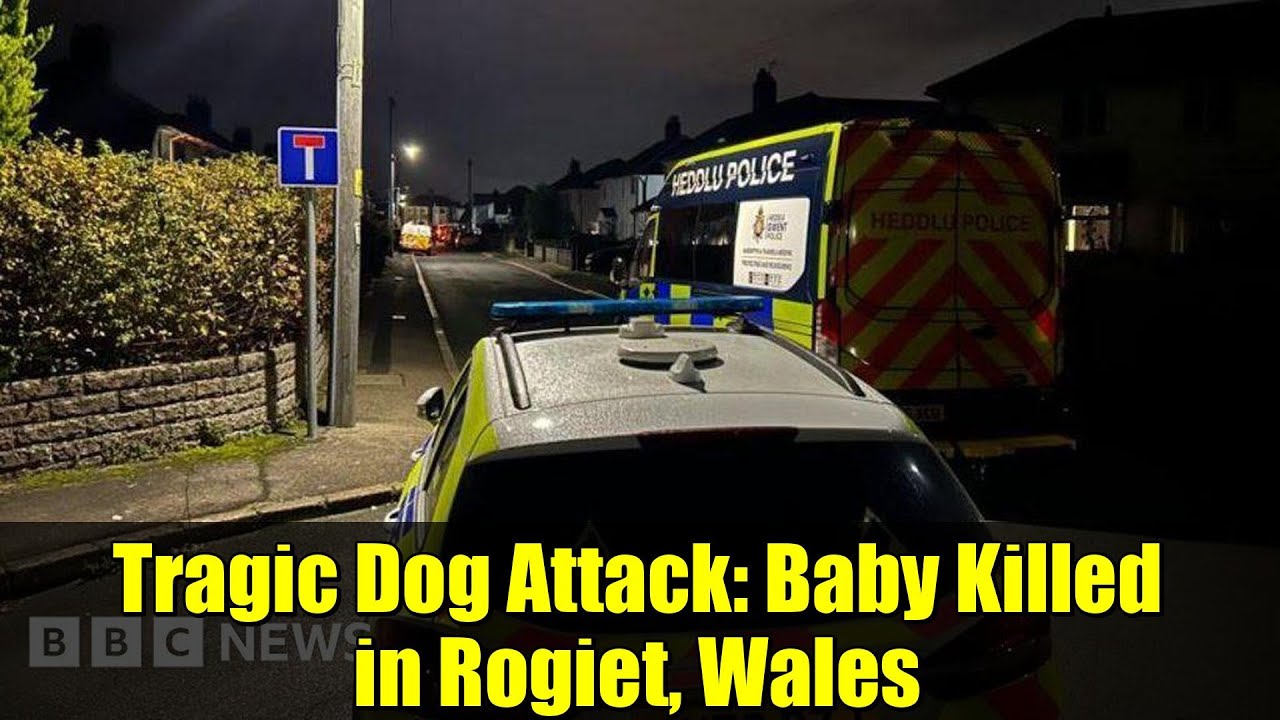 Heartbreaking Dog Attack in Rogiet: Baby Dies in Tragic Incident 🐶