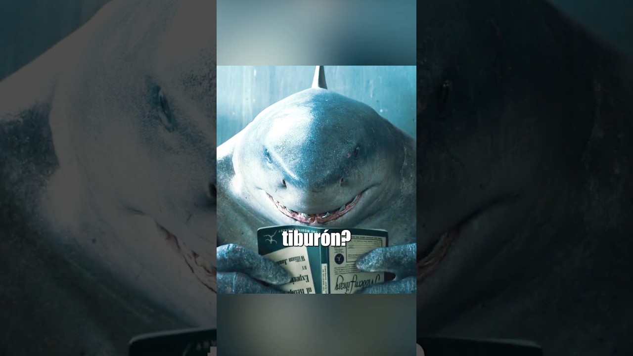 Tiburón amante de las películas 🎬