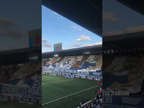 Lausanne Sport at home against FK Vardar Skopje🇲🇰.-(31.07.2025)#kopsud #lozboys #ultras #football