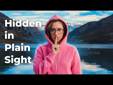 Hide & Seek: The Beginner’s Guide to Cracking Steganography