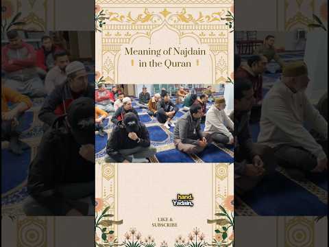 Meaning of Najdain in the Quran.  #QuranTafseer #SurahBalad #Najdain