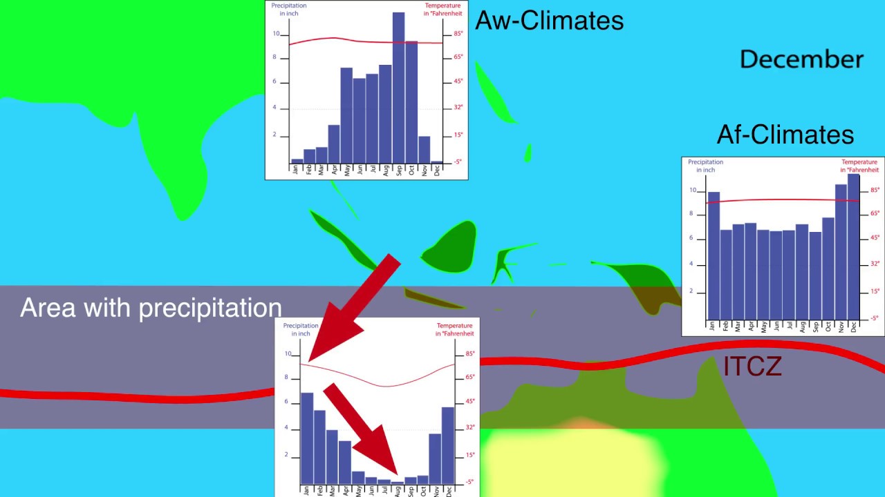 ITCZ, Monsoons & Dry Seasons Explained 🌍