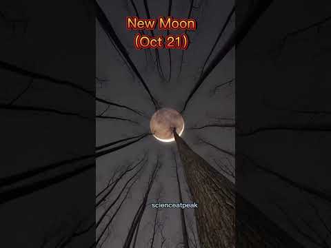 Astronomical Events in October 2025!