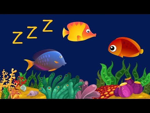 321 Relaxing - Meditation Relax Clips