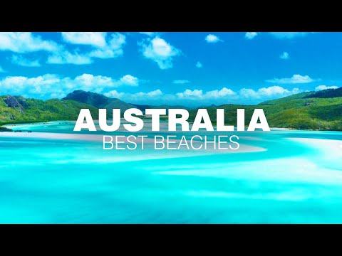 The BEST BEACHES in AUSTRALIA (ft. Whitehaven Beach, Lucky Bay, Wineglass Bay, Manly & Surfer's)