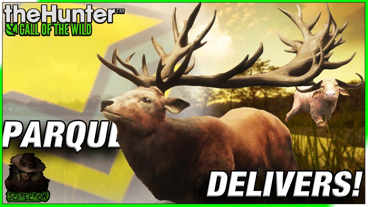 BIG TROPHIES WITH A BIG 45-70! Diamond Red Deer And A MASSIVE Albino Water Buffalo! Call of the wild