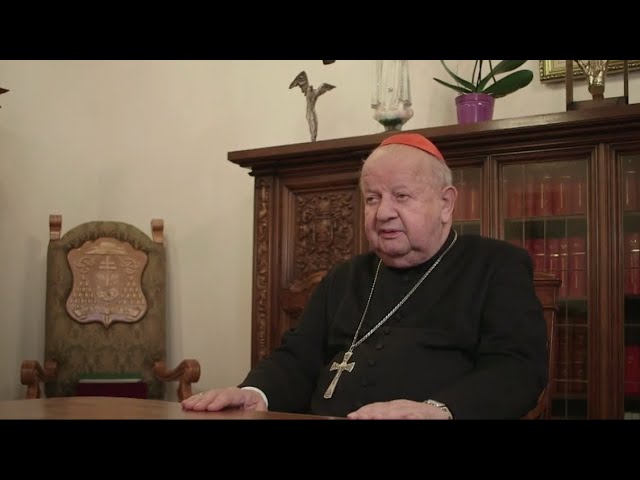 Kardynał Dziwisz wspomina Jana Pawła II na nowej wystawie 🖼️