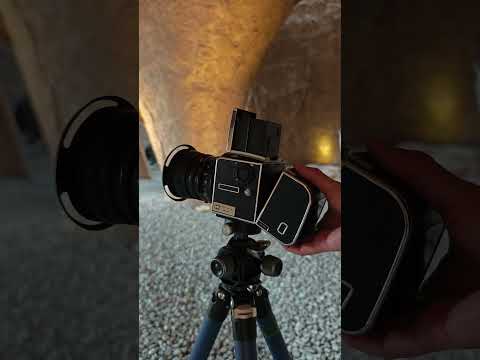 Heritage Meets Innovation: Hasselblad 503CW & CFV 100C