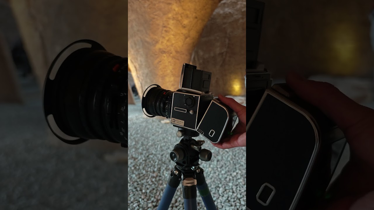 Hasselblad 503CW & CFV 100C: Heritage & Innovation ๐ธ