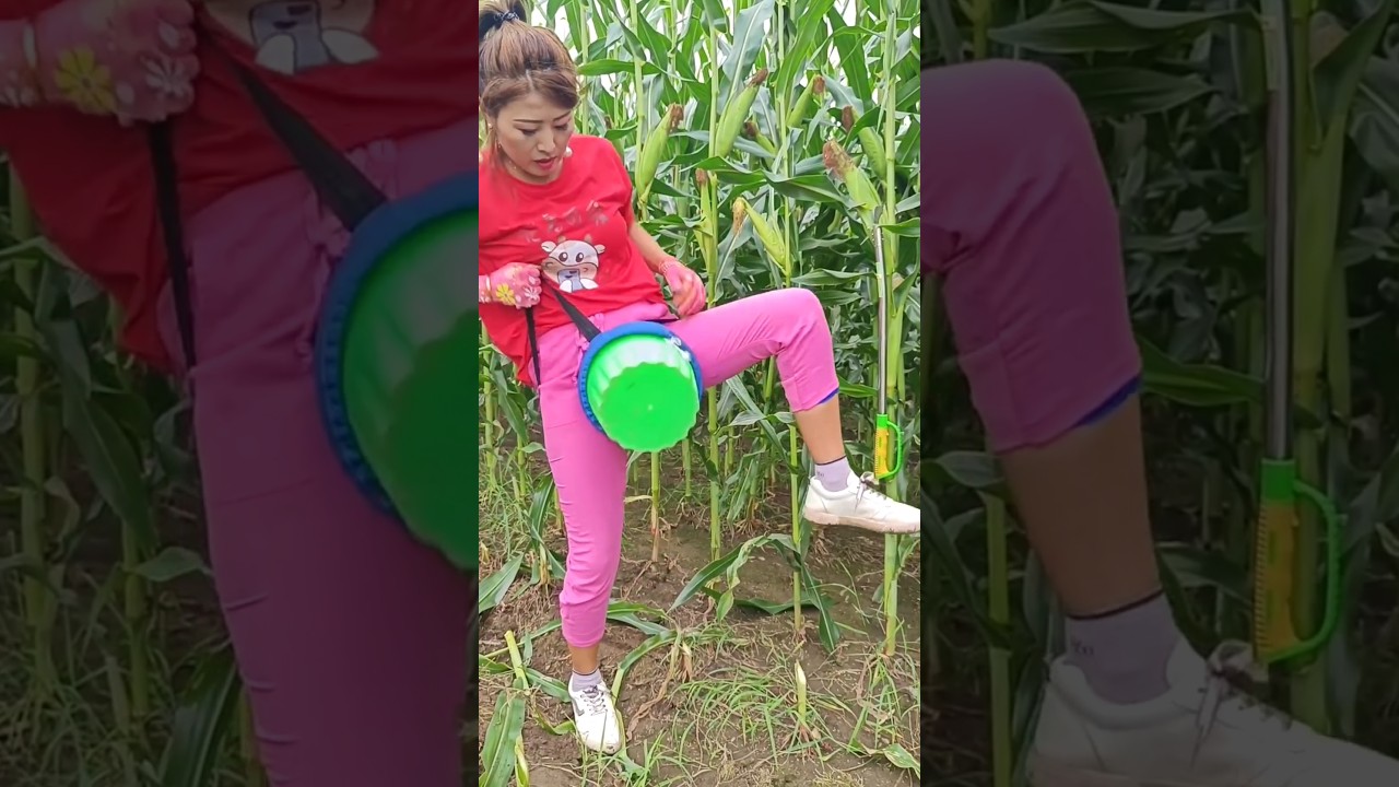 Farmer Using Modern Tools on Corn Farm 🌽