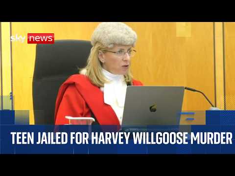 Teen jailed for murdering school pupil during lunch break | Cameras in court