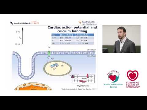 Demonstration on the use of Computational Modelling
