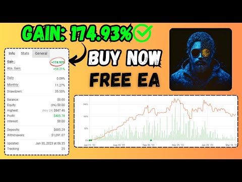 EA Crypto Hunter Review | MT4 Hybrid Crypto Trading Strategy Explained