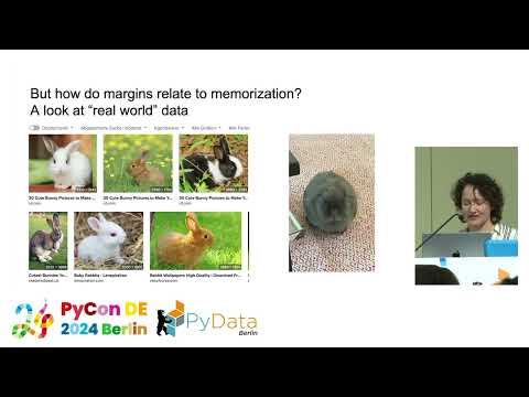Your Model _Probably_ Memorized the Training Data [PyCon DE & PyData Berlin 2024]