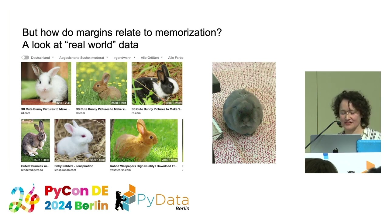 Did Your Model Memorize Training Data? Insights from PyCon DE & PyData Berlin 2024