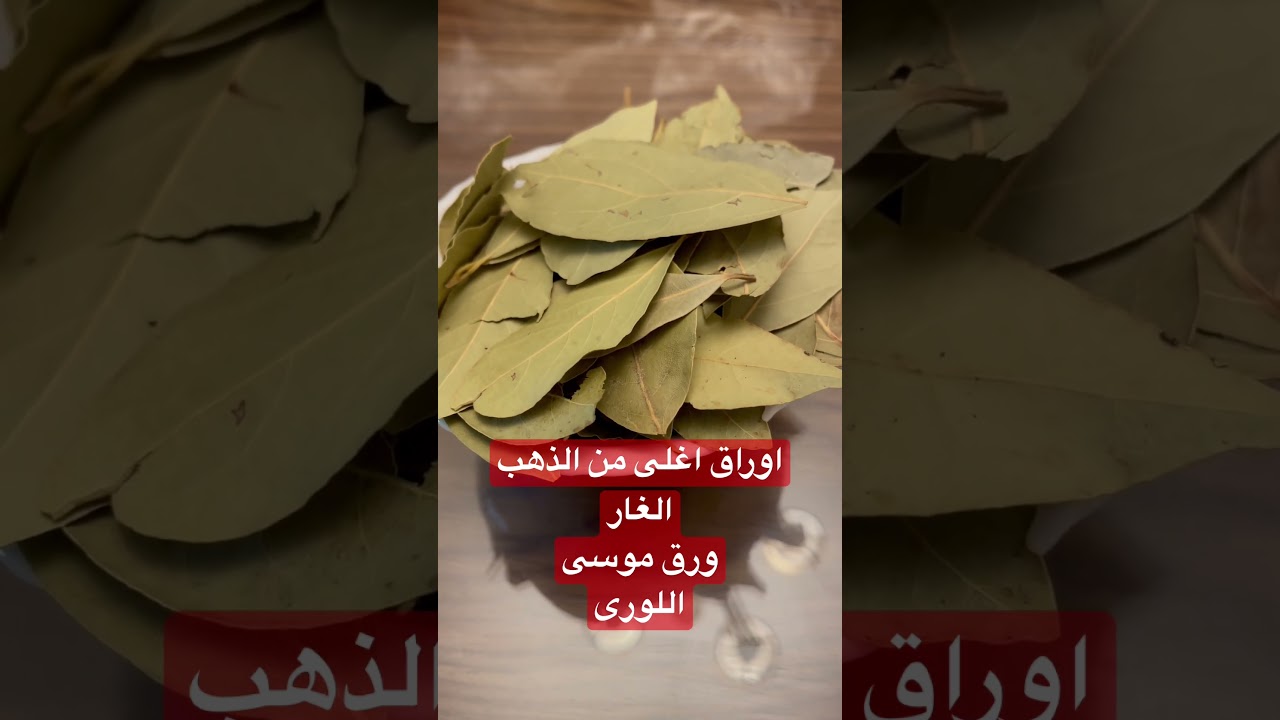 فوائد أوراق الغار الصحية: علاج طبيعي للجيوب الأنفية والشعر الأبيض 🌿