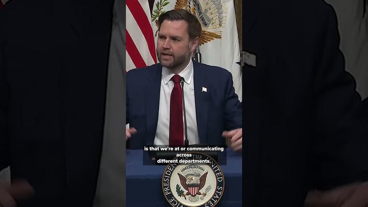 JD Vance speaks about administration's approach to fraud protections