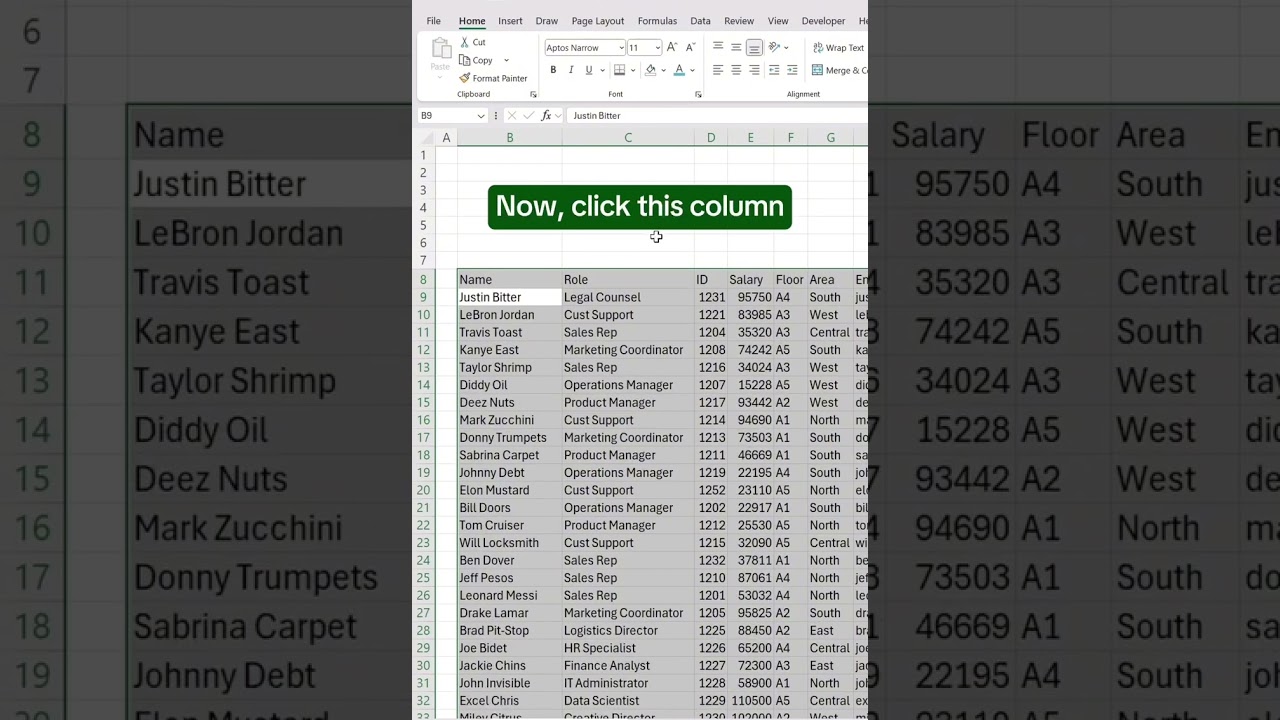 Master Data Cleaning in Excel: Quick & Easy Tips for Beginners 🧹