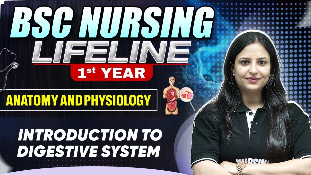 Digestive System Basics for BSc Nursing 1st Year 🩺